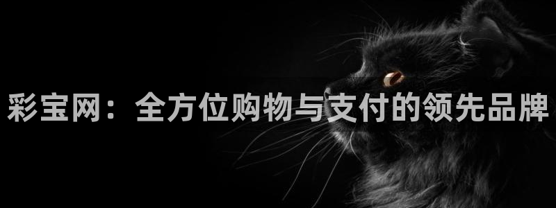 彩宝网：全方位购物与支付的领先品牌