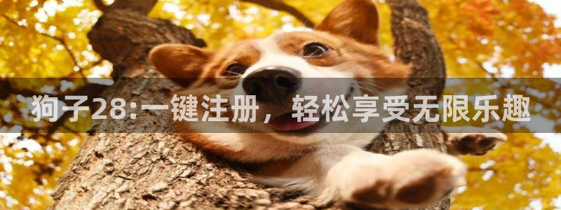 彩易通选号工具：狗子28:一键注册，轻松享受无限乐趣