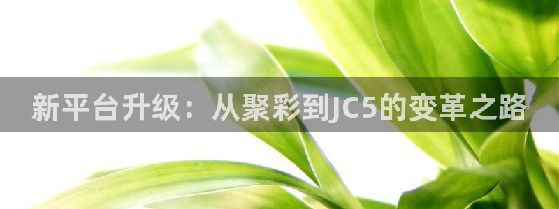 彩易通：新平台升级：从聚彩到JC5的变革之路
