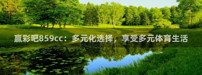 彩易通：赢彩吧859cc：多元化选择，享受多元体育生活